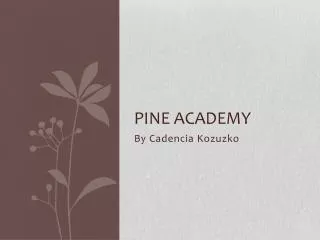 Pine Academy