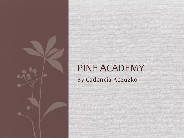 pine academy