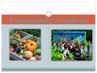 Community Gardens