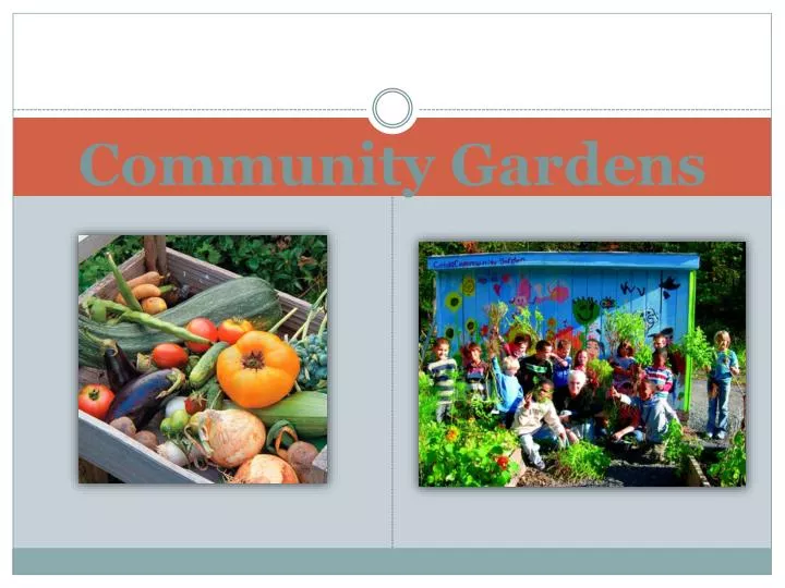 community gardens