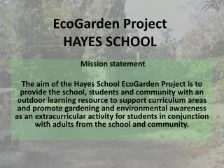 EcoGarden Project HAYES SCHOOL