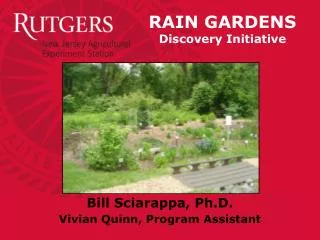 RAIN GARDENS Discovery Initiative