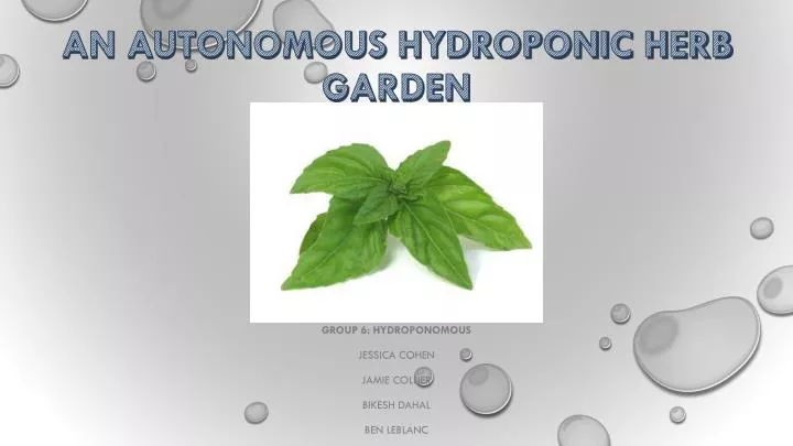 an autonomous hydroponic herb garden
