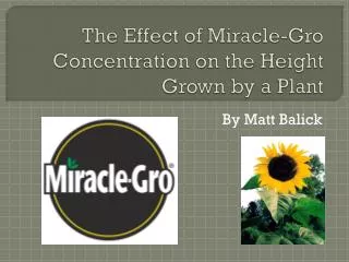 The Effect of Miracle- Gro Concentration on the Height Grown by a Plant