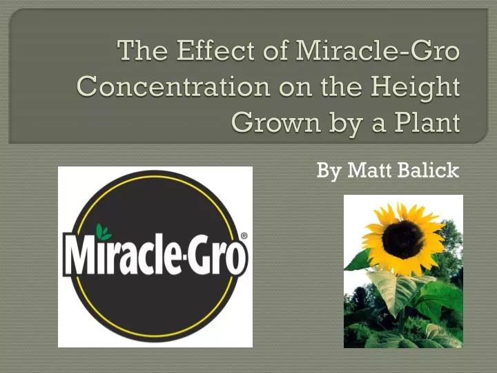the effect of miracle gro concentration on the height grown by a plant