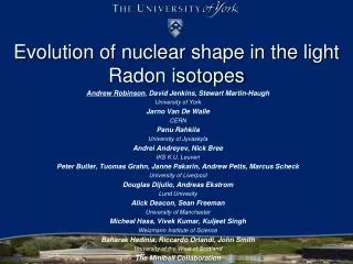 Evolution of nuclear shape in the light Radon isotopes