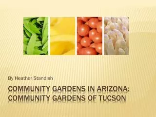 Community Gardens in Arizona: Community Gardens of Tucson