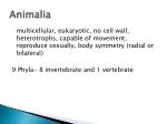 Animalia - slide 1