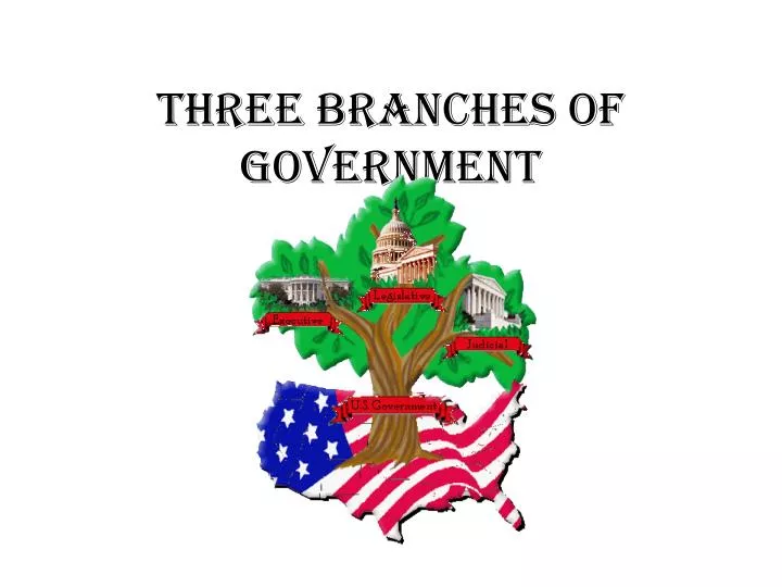 three branches of government