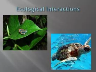 Ecological Interactions