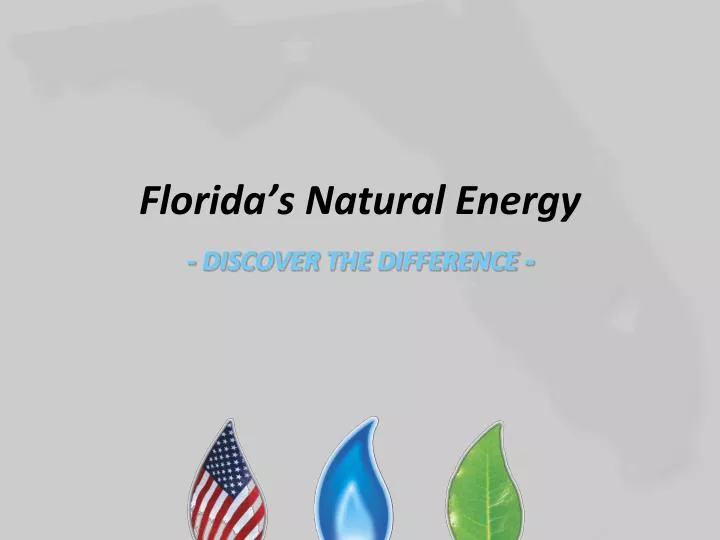 florida s natural energy discover the difference