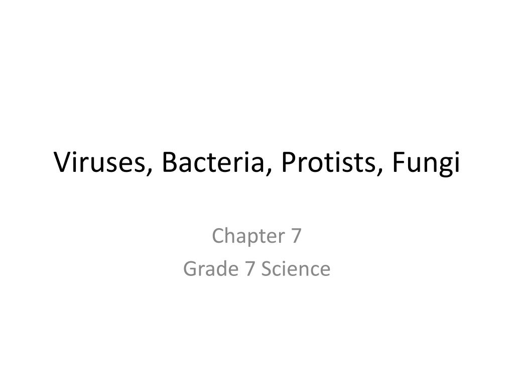 PPT - Viruses, Bacteria, Protists , Fungi PowerPoint Presentation, free ...