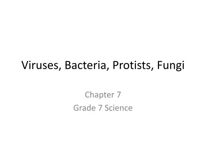 viruses bacteria protists fungi