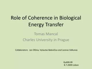 Role of Coherence in Biological Energy Transfer