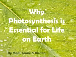 Why Photosynthesis is Essential for Life on Earth