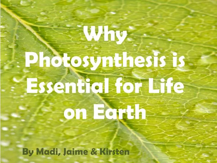 why photosynthesis is essential for life on earth