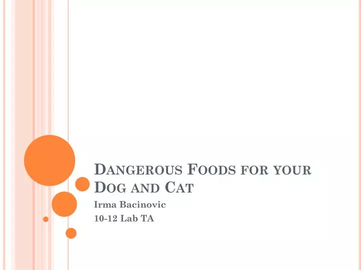 dangerous foods for your dog and cat