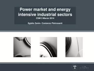 Power market and energy intensive industrial sectors CSM 3 Marzo 2014 Egidio Zanin- Costanzo Pietrosanti