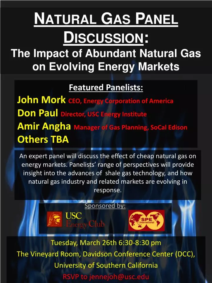 na tural gas panel discussion the impact of abundant natural gas on evolving energy markets