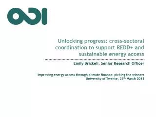 Unlocking progress: cross-sectoral coordination to support REDD+ and sustainable energy access