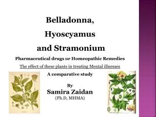 Belladonna , Hyoscyamus and Stramonium Pharmaceutical drugs or Homeopathic Remedies The effect of these plants in trea