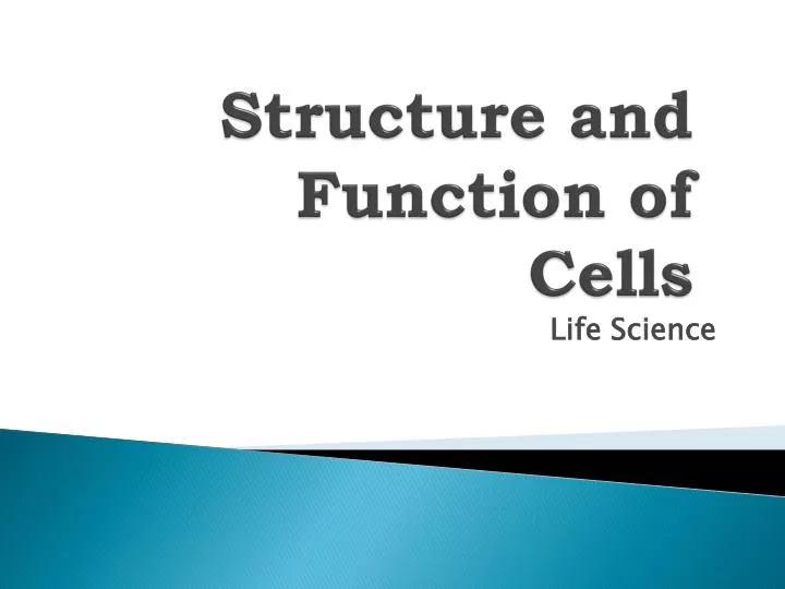 structure and function of cells