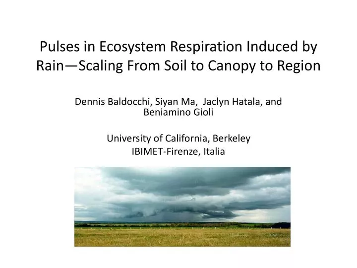 pulses in ecosystem respiration induced by rain scaling from soil to canopy to region