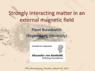 Strongly interacting matter in an external magnetic field