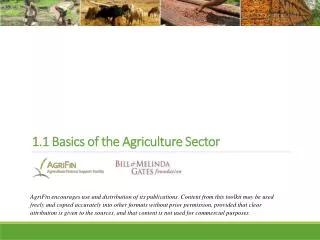 1.1 Basics of the Agriculture Sector