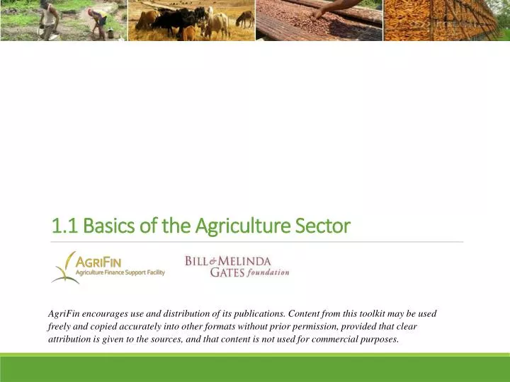 1 1 basics of the agriculture sector