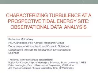 Characterizing Turbulence at a Prospective Tidal Energy Site: Observational Data Analysis
