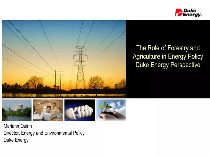 the role of forestry and agriculture in energy policy duke energy perspective