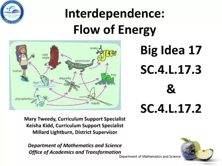 interdependence flow of energy