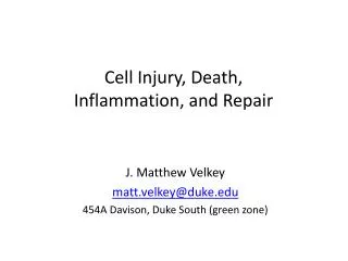 Cell Injury, Death, Inflammation, and Repair
