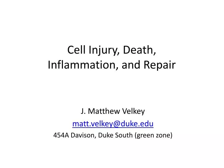 cell injury death inflammation and repair