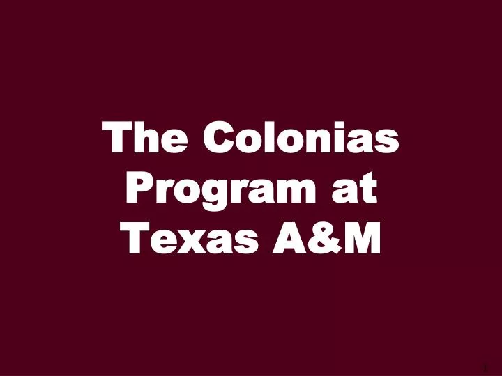 the colonias program at texas a m