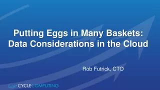 Putting Eggs in Many Baskets: Data Considerations in the Cloud