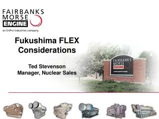 Fukushima FLEX Considerations Ted Stevenson Manager, Nuclear Sales