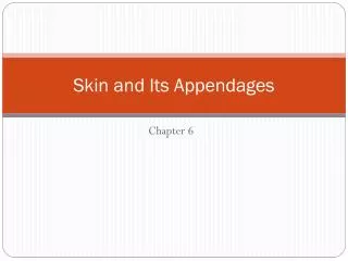 Skin and Its Appendages