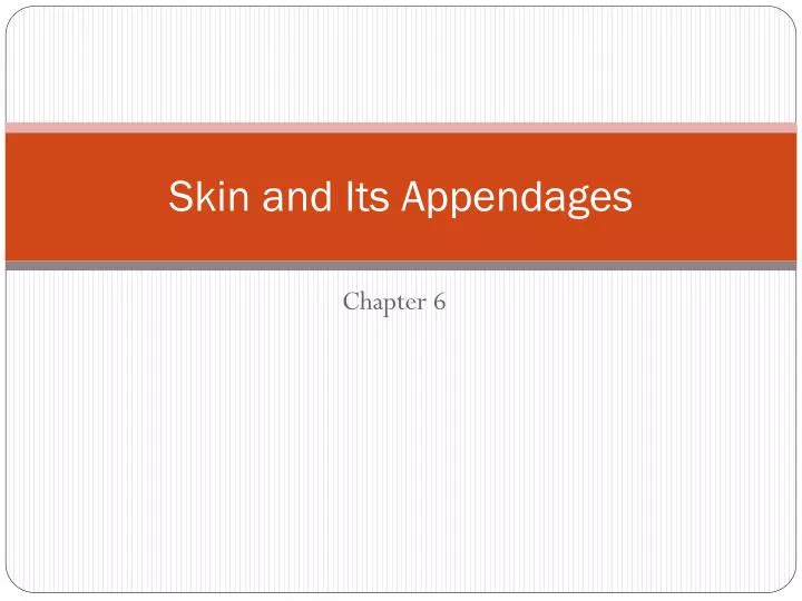 skin and its appendages