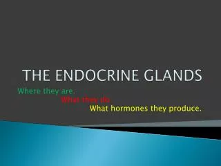 THE ENDOCRINE GLANDS
