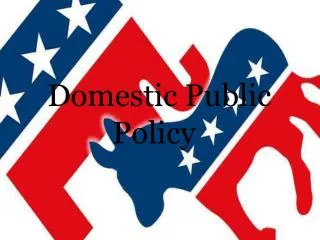 Domestic Public Policy