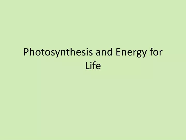 photosynthesis and energy for life