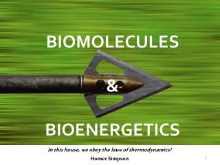 BIOMOLECULES &amp; BIOENERGETICS