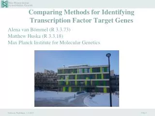Comparing Methods for Identifying Transcription Factor Target Genes