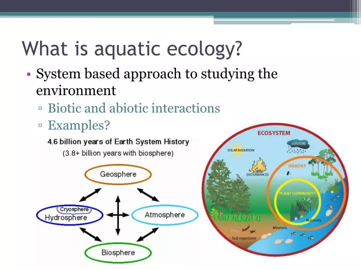 what is aquatic ecology