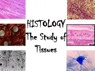 HISTOLOGY The Study of Tissues