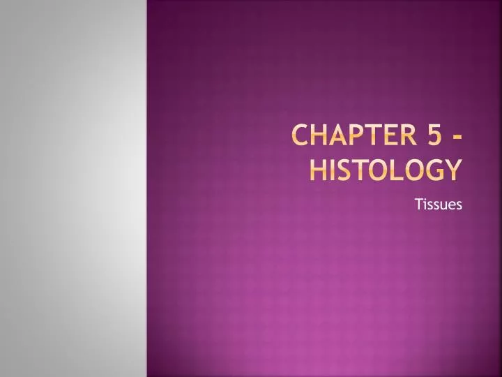 chapter 5 histology