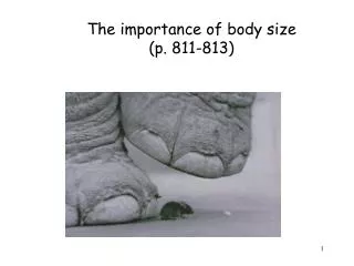 The importance of body size (p. 811-813 )