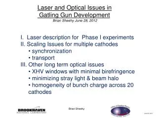 Laser and Optical Issues in Gatling Gun Development Brian Sheehy June 28, 2012